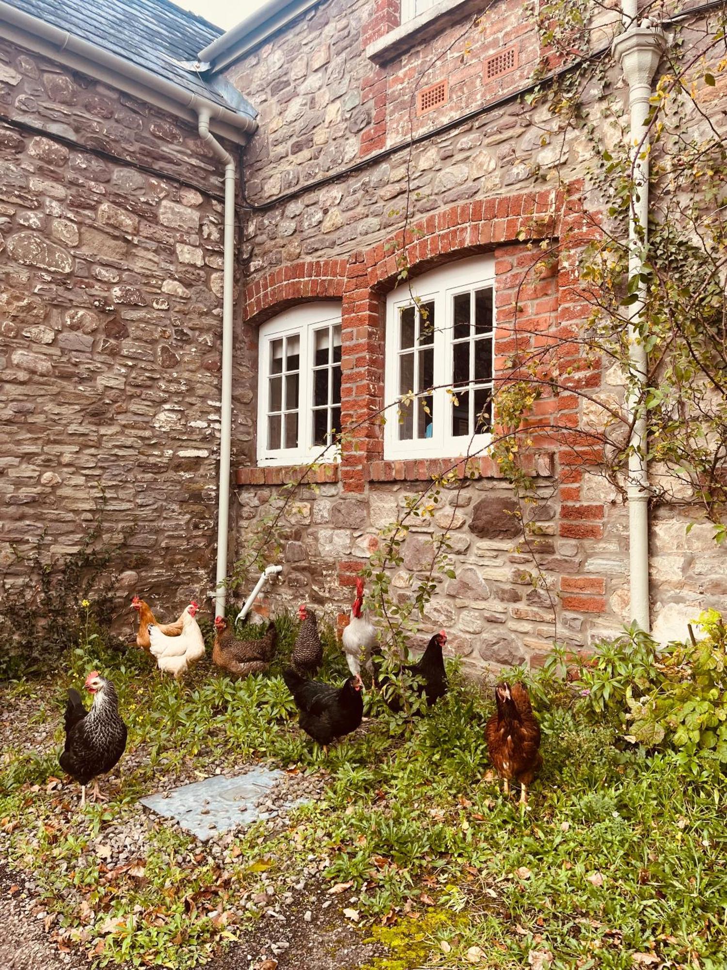 The Vakantiehuis