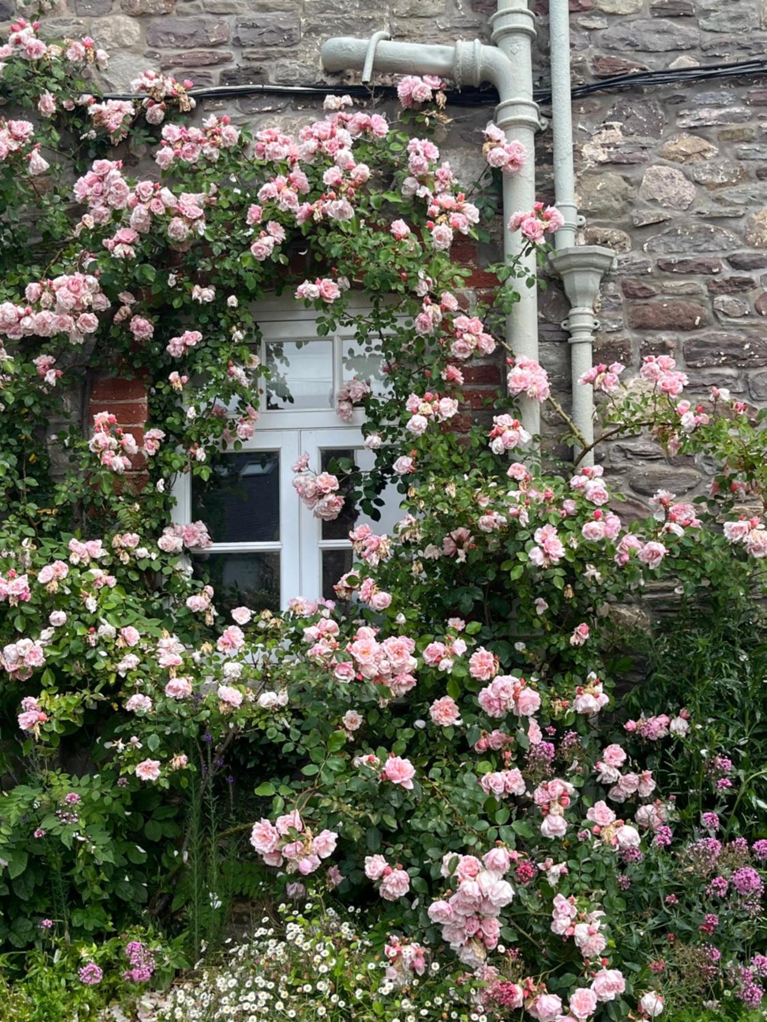 Vakantiehuis The